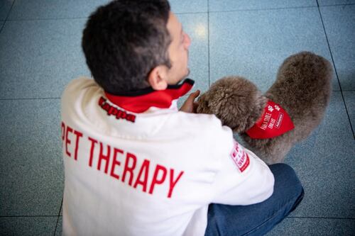 Sicilia, contestata per il cane a scuola. Il Parlamento si mobilita: "Difendiamo la pet therapy"