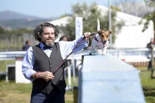 A Mentana tutti pazzi per i Jack Russell