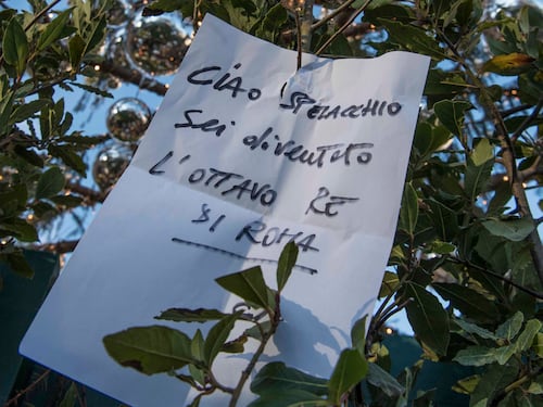 Spelacchio è entrato in segheria. Inizia la sua seconda vita