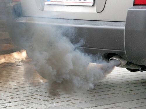 "Cavie umane nei test sui gas di scarico delle auto"