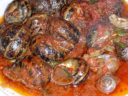 A Casumaro la lumaca arriva in tavola prima di tutti