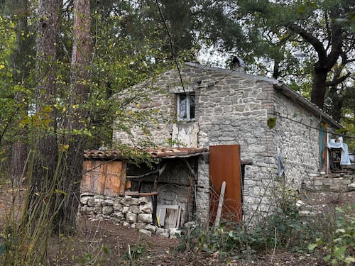 Bambini nel bosco, cos'è l'unschooling: cosa dice la legge e quante famiglie lo praticano in Italia