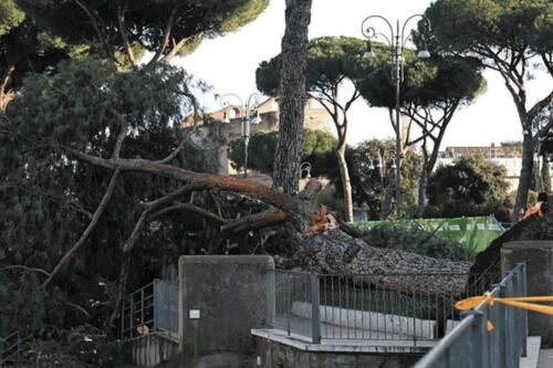 Roma, pini crollati su via Fori Imperiali: focus sui lavori della metro