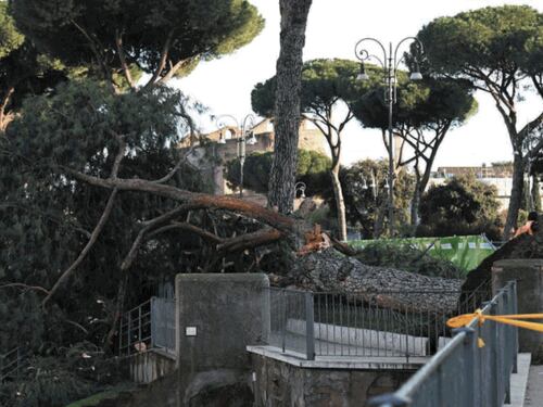 Roma, pini crollati su via Fori Imperiali: focus sui lavori della metro