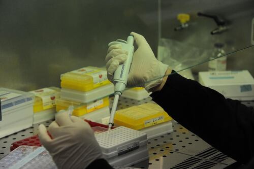 Meningite, casi ad Anzio e Albano. Due persone ricoverate a Roma