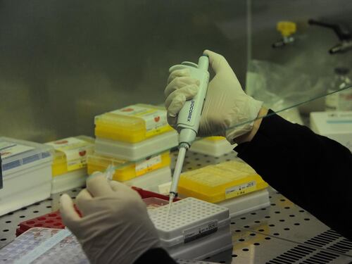 Meningite, casi ad Anzio e Albano. Due persone ricoverate a Roma