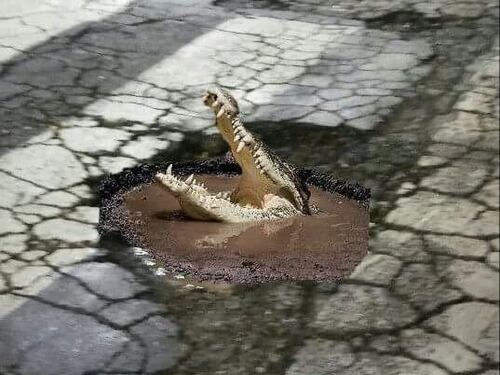 Roma, dalla buca spunta il coccodrillo. Foto virale su WhatsApp