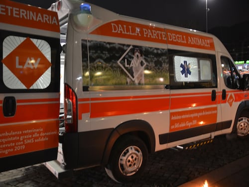 Arriva l'ambulanza per cani e gatti delle famiglie in difficoltà per il Coronavirus