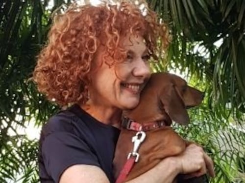 Ecco i segreti per andare in ferie con cani e gatti