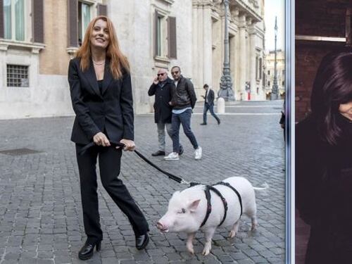In Forza Italia scoppia la guerra del maiale...