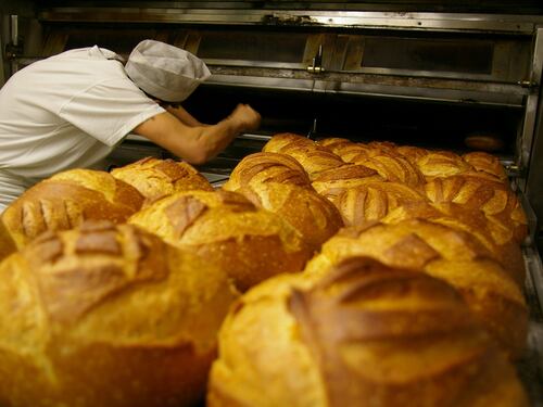 Fasce più deboli in pericolo. Scoppia la guerra del grano: cibo a rischio per i poveri