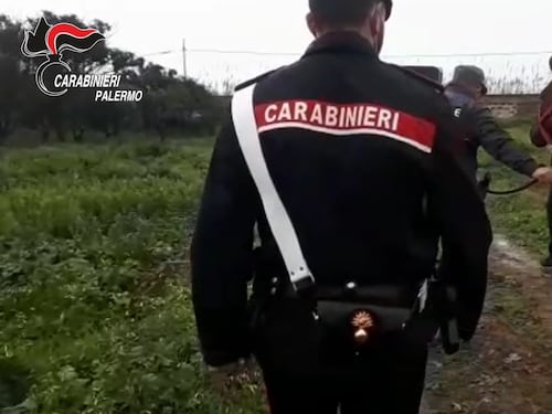 Corse clandestine di cavalli a Palermo: denunciato per maltrattamenti un fantino