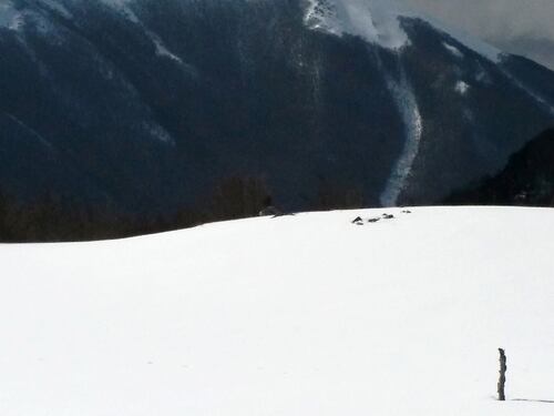 Valanga in Val Senales, morta una bimba e dispersa la madre