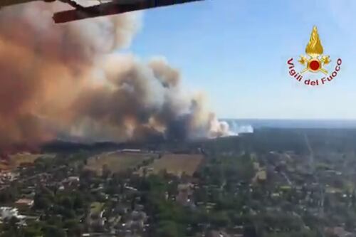 In fiamme la pineta di Castel Fusano, arrestato un 22enne