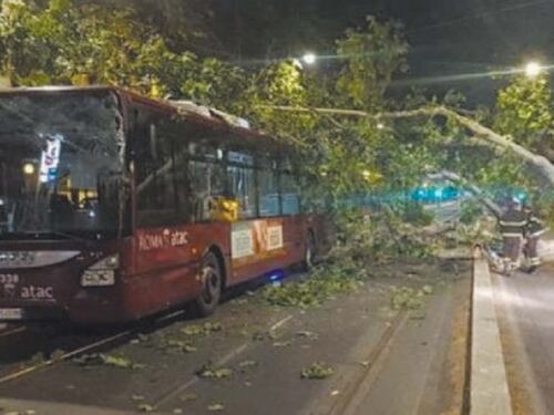 Rifiuti, rom, abusivi e ora pure alberi killer: Roma sprofonda