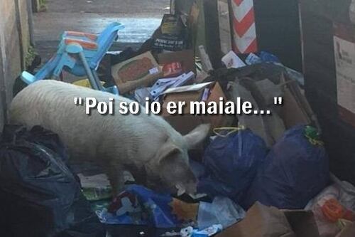 #iltempodiosho