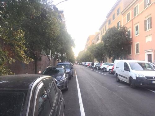 Al Prenestino gli alberi entrano nelle case. Storace: qualcuno avvisi la Raggi