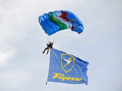 L'Esercito Italiano protagonista del Para Show 2013 al Foro Italico