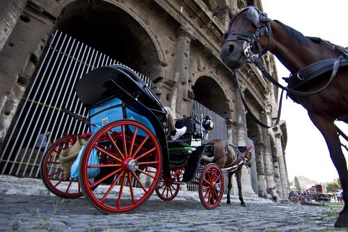 Addio al Mattatoio: le botticelle di Roma hanno traslocato al Galoppatoio