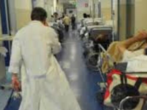 Roma nel degrado: topi anche in ospedale
