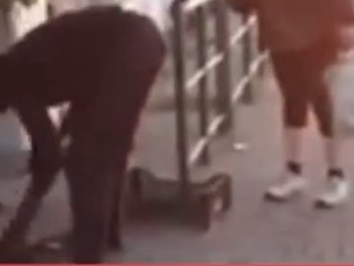 Livorno, immigrato uccide e cucina gatto per strada. L'orrore in un video