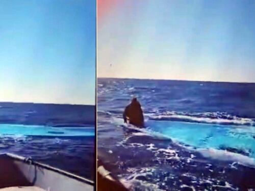 Le Ong cavalcano l'ennesima strage di migranti: "A Natale frontiere aperte"