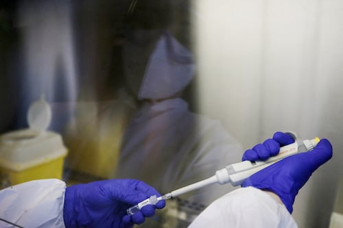 Omicron, "arriva dai topi". L'origine della nuova variante iper contagiosa