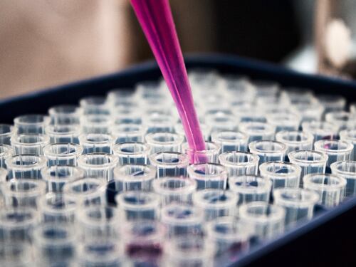 Covid, super-variante letale creata in un laboratorio Usa. Scienziati divisi