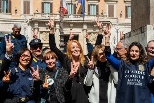 Animali, in vigore la legge Brambilla: le tutele e le pene previste (anche il carcere)