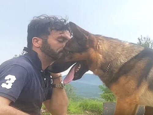 Ucciso Kaos, il cane eroe di Amatrice: "Hanno voluto farla pagare al padrone"