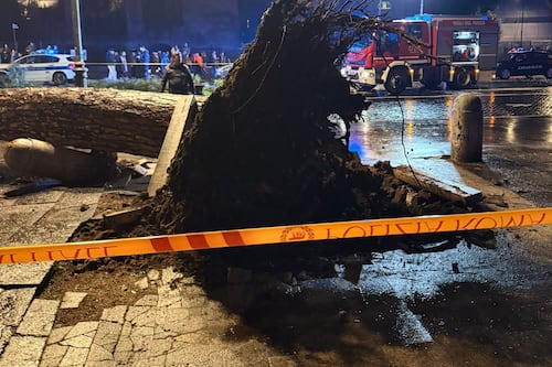 Dopo il crollo del pino chiusa via dei Fori Imperiali fino al 23 del 6 gennaio