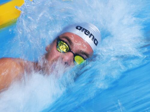 Miressi vince l'oro nei 100 stile libero. Paltrinieri è bronzo nei 1500