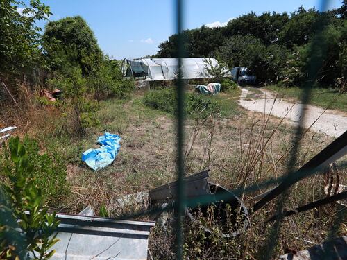 Il cadavere di un uomo nascosto nella vegetazione, giallo a Castel di Guido