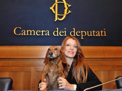 Tutela ambiente e animali in Costituzione, la Brambilla esulta così