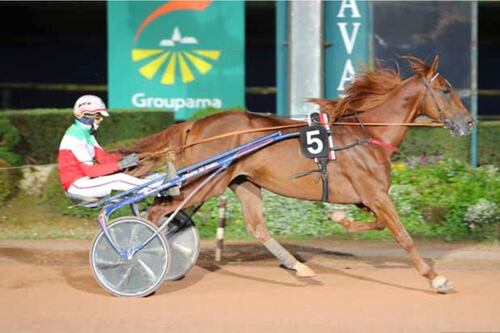 Valzer di Poggio il trottare italiano dei record