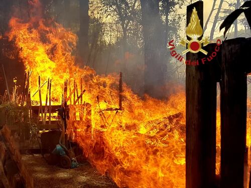 Roma brucia da Monte Mario al litorale. Tutti contro la Raggi: verde senza manutenzione