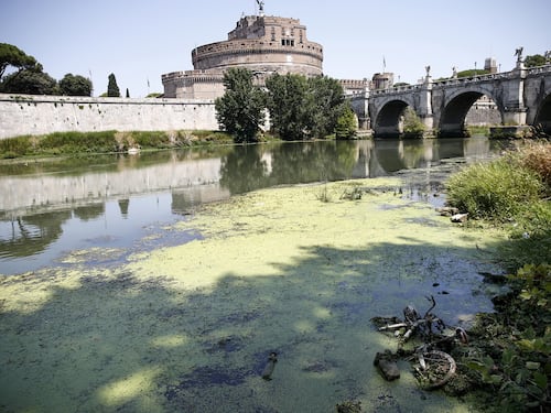 Roma, lo scandalo Tevere: ecco i 18 enti che uccidono il fiume