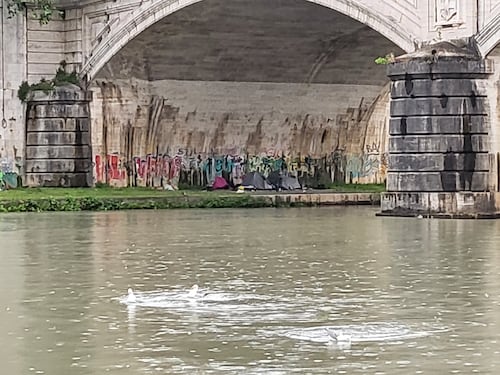 Roma, sale il livello del Tevere. Chiuse le banchine sul fiume