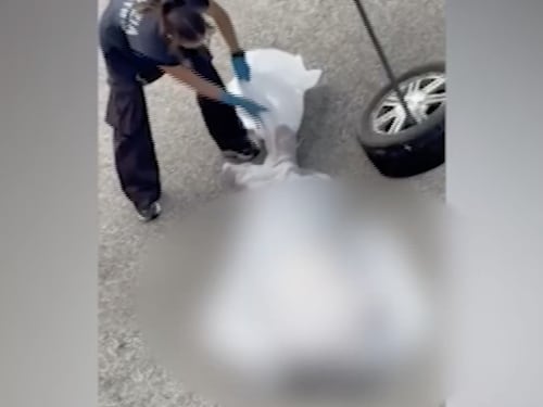 Fakir, il legale dei poliziotti: "Il motivo della chiazza di sangue". Il nuovo video