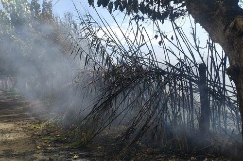 Roma, incendio vicino al parco Zoomarine a Pomezia. Ennesimo rogo nella Capitale