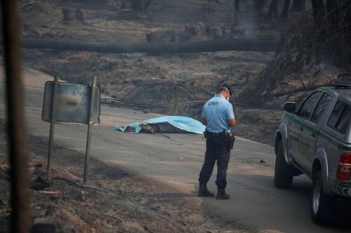 Portogallo, arrivano a 61 i morti nella foresta in fiamme