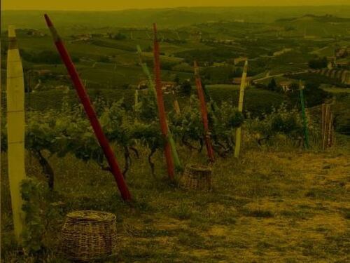 Guida (parziale) alle cantine tra Langhe e Monferrato