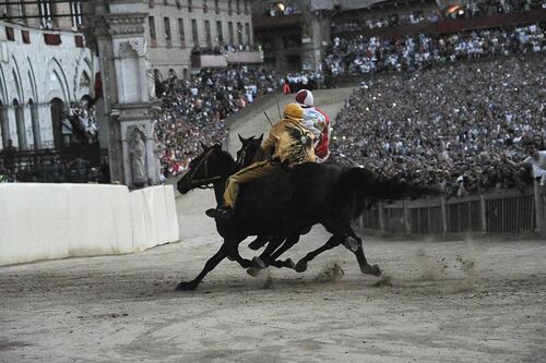 Palio di Siena, tre fantini e un veterinario a processo per maltrattamenti sui cavalli