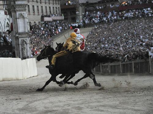 Palio di Siena, tre fantini e un veterinario a processo per maltrattamenti sui cavalli
