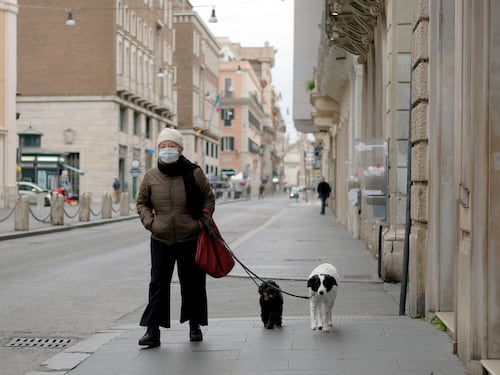 Primo cane positivo al coronavirus ma non può infettare. Ecco perché