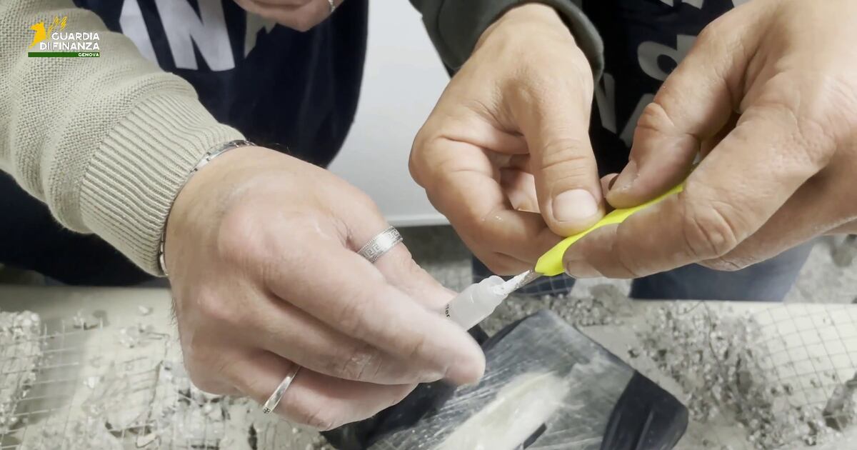 Genova, scoperti 11 kg tra cocaina e hashish nascosti in un carico di mattonelle - Il Tempo