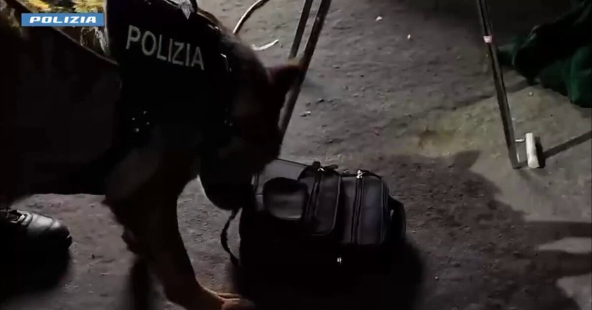 Roma, droga nascosta in contatori e muri: sei pusher arrestati al Quarticciolo - Il Tempo