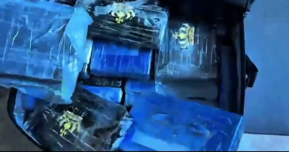 Maxi sequestro di droga a Pomezia, 31 chili tra cocaina e hashish - Il Tempo