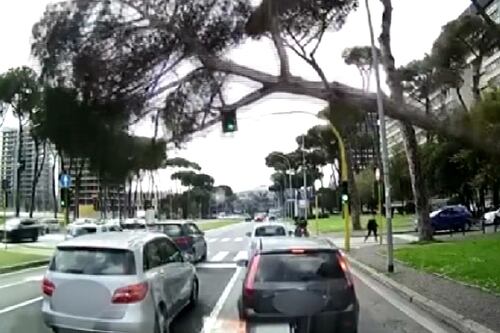Roma, le impressionanti immagini dell'albero caduto sulle auto all'Eur. Il video
