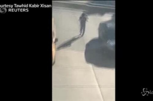 Attentato a New York, il killer catturato dalla polizia